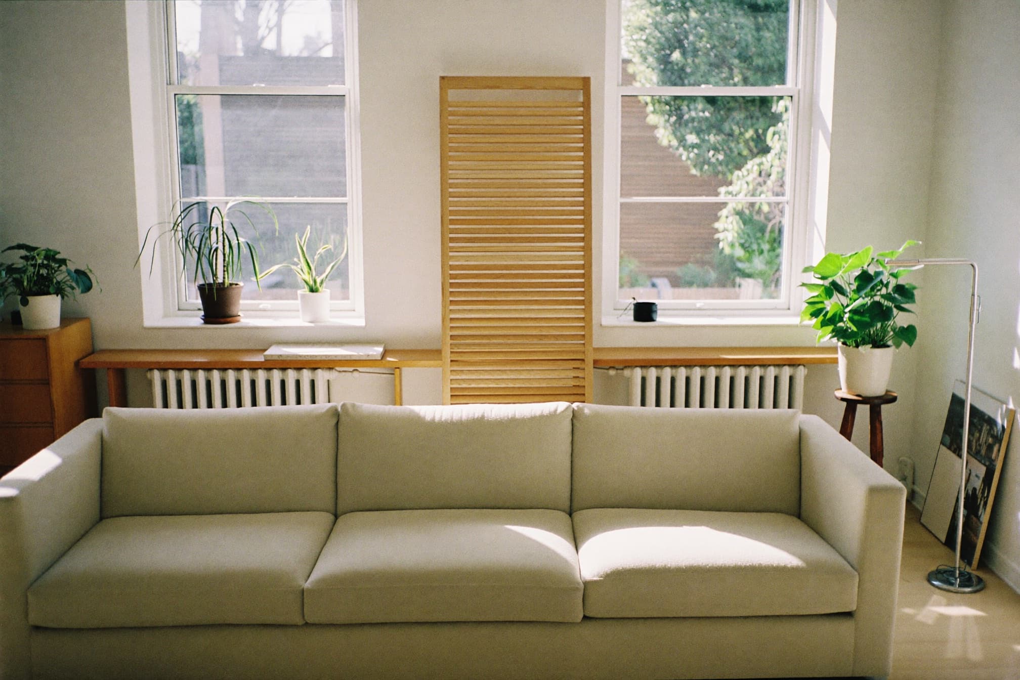 A bright, tidy living room with a soft sofa and natural light
